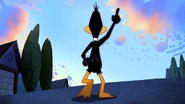 Working Duck (19)