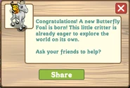 Butterfly Foal Message