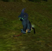 FelineFamiliarBroom