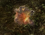 Soul ru