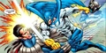 BlueJay 002