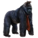 Item kong 01
