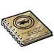 Helicopter Manual