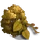 Dahurian Birch Tree-icon