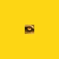 Glaedr's eye.jpg