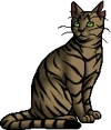 Longtail.warrior