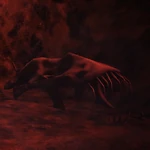 Creatures Unknown Creature