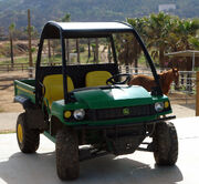 Horse-and-Gator.1024