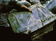 Book of mazarbul