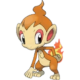 Chimchar