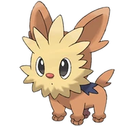 Imatge de Lillipup