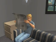 Newspapersims2