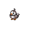 Starly