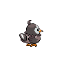 Starly
