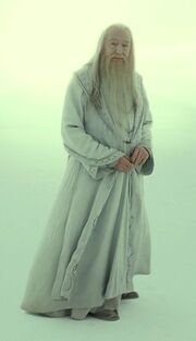 Dumbledore Limbo