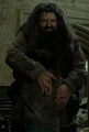 Hagrid hugs Harry.jpg