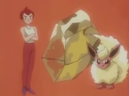 Eevee Brother Pyro