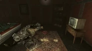 Rex and his tv