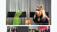Kermitpiggygooglehangout