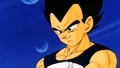 Vegeta.CallToAction