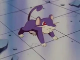 EP002 Rattata
