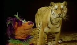 ZTiger2
