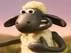 Shaun avatar 4x3.jpg