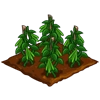 Vanilla Orchid-icon.png