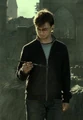 Harry Elder Wand.jpg