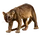 Item fossa 01