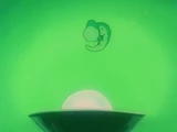 Cell1