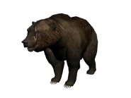 Brumas