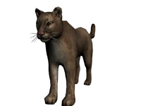 Puma.png