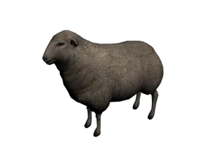 Obeja