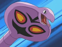 Jessie Arbok