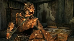 Skyrim-khajiit-male