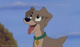 Tramp2-disneyscreencaps.com-2513