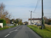 D129 (17) (3)