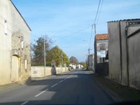 D129 (17) (7)