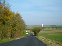 D129 (17) (14)