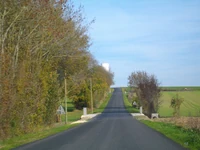 D129 (17) (15)