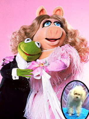 Piggy kermit foo-foo