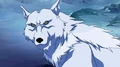 Wolf.png