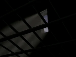 Prison bars