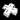 DScontrolpad