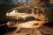 Giganotosaurus