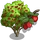 Cornelian Cherry Tree-icon
