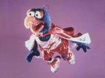 Gonzo-stunt