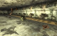 Test Cell For Traps03