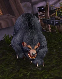 Image of Rae